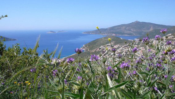 View of Kalkan bay